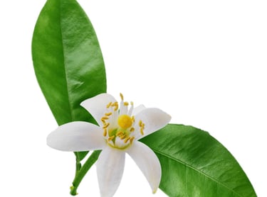 baume-nettoyant-naturel-artisan-cosmethic