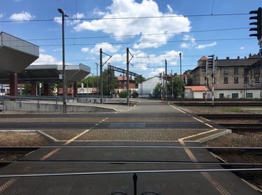 PAVOJINGŲ VIETŲ ŽENKLINIMAS