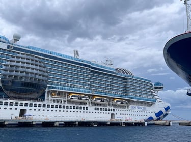 Crucero Sun Princess en Cozumel , México. Princess lider en viajes por Alaska