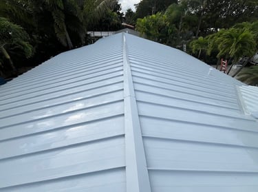 metal roof soft wash fort lauderdale fl 