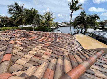roof soft washing fort lauderdale fl 