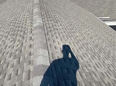 shingle roof soft washing broward county fl 