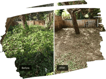 Overgrown garden cleared with green waste removed in County Durham