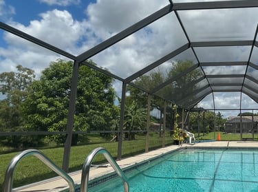 pool screen paint