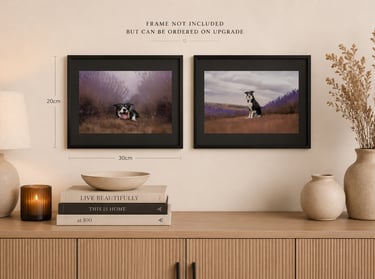 Wall art of a border collie in a lavender field