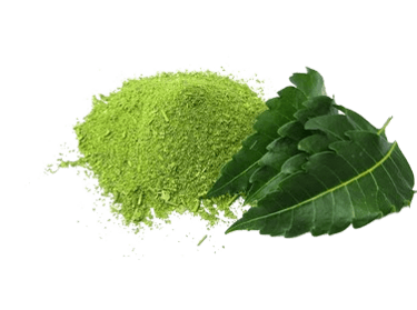neem leaf powder uae dubai uk
