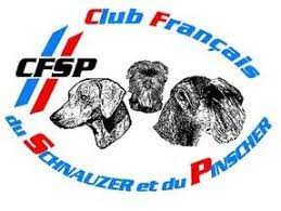 logo du club français du schnauzer et du pinscher 