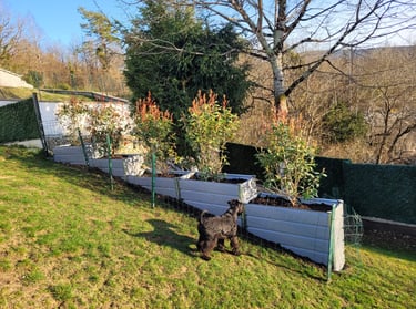 Arbustes à l'élevage des Diamants Noirs d'Also