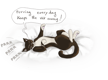 drawing of a cat laying on his back