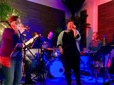Birds of a feather band performing on stage