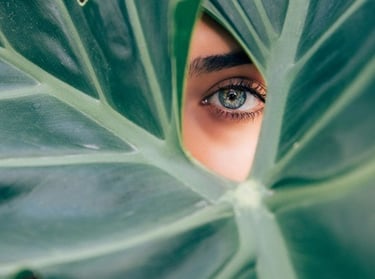 Protect your Skin from Aging