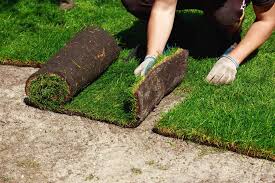 laying turf