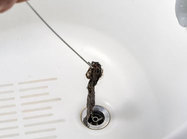 debris collected from a drain hole