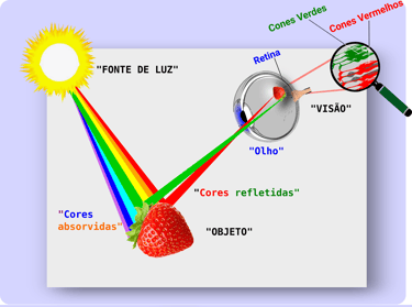 Processo da visão das cores do Objeto, no Olho Humanoreflexão e absorção dos componentes de Luz
