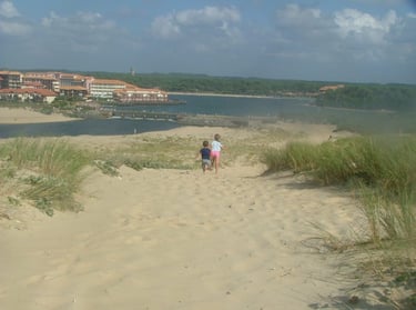photo d'une vue aérienne d'une plage donnant sur le Lac Marin dans Les landes