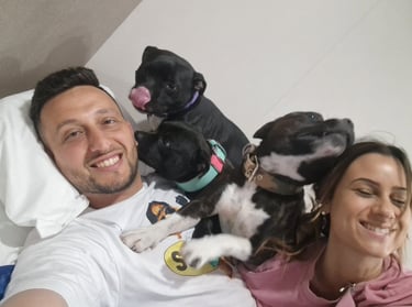 Stefano Greco Giordana Aletta in cabina nave con gli Staffordshire Bull Terrier Grecalestaffs