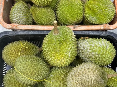 a basket of durian fruit for wholesale