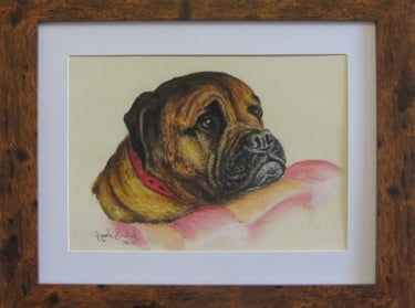 Commissioned portrait of dog, taken from owner's photograph, drawn in soft pastel