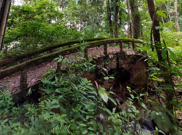 khanim waterfall khao lak thailand