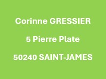 fond vert et nom et adresse du site 