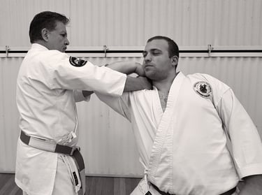 Kenyukan Aiki techniques