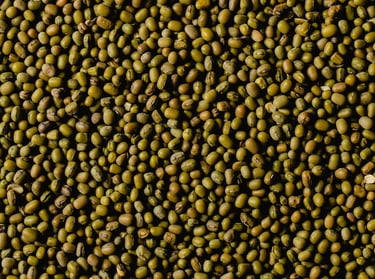 mung beans