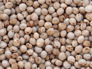 pigeon peas