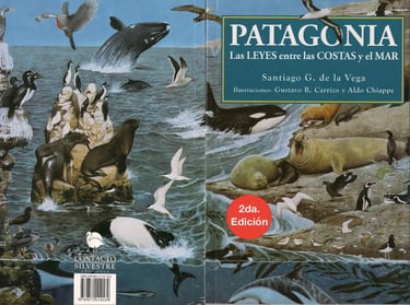 Ballena franca austral