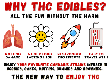 Infographic explaining benefits of THC edibles like gummies and brownies for lung health and long-lasting effects.