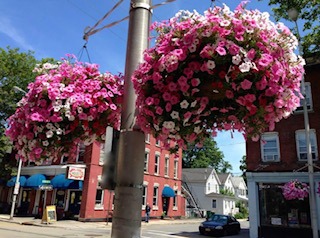 Street baskets in Beacon, NY