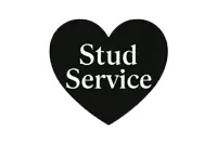 Black heart icon labeled ‘Stud Service’—Louisiana AKC Responsible Chihuahua breeding