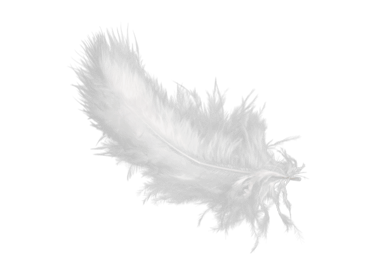 Feather representing the lightness of Doppler umbrellas.