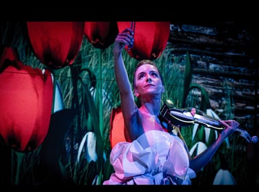 espectáculo de violin electrónico