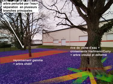 géobiologue morbihan loire-atlantique bretagne