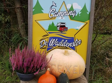 Camping de Waddenster