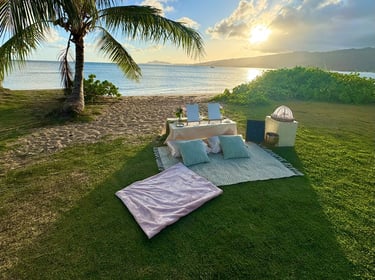 luxury beach picnic in Honolulu, Hawaii
