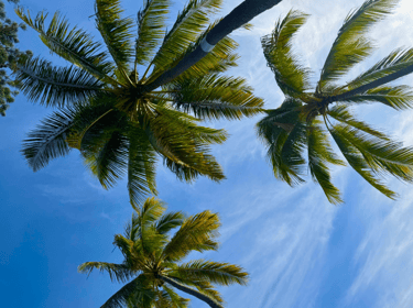 Beach experience in Honolulu