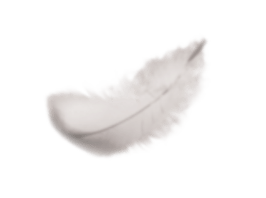 Feather representing the lightness of Doppler umbrellas.