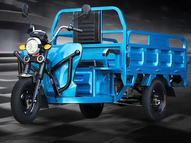 cargo electric trike
