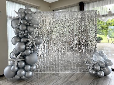 Blizgi sidabrine foto sienele, foto sienele nuoma, foto siena nuoma, foto siena gimtadieniui, siena