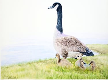 A Guiding Light, Mother Goose and Goslings