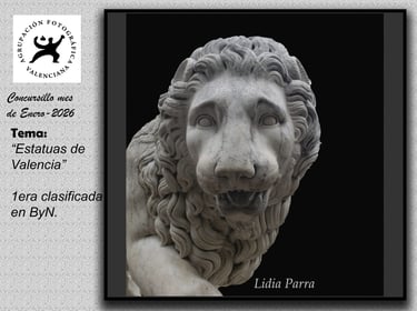 Primer Clasificado Concurso Mensual Enero 2026 BN