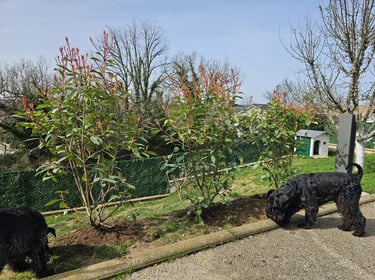 Plantations à l'élevage des Diamants Noirs d'Also