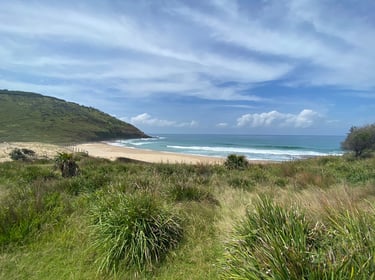 beach with ocean views and rolling hills in background