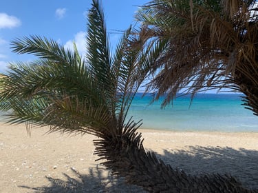les plus belles plages du Sud-Est de la Crète Vai