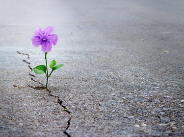 Getting through the cracks
