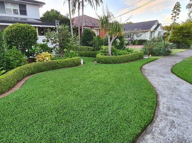Beautifully installed Buffalo Grass lawn at a residential home in Whitefield, Bangalore