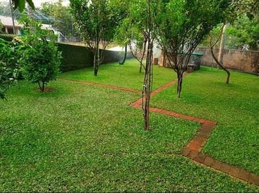 Pearl Grass Installation in Bangalore | FM Landscaping