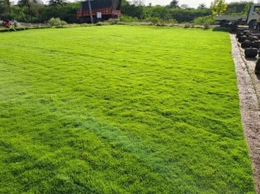 Recently completed Bermuda Grass project in Koramangala, Bangalore