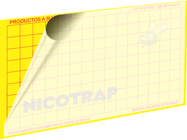 uso de placas adhesivas para captura de moscas 
